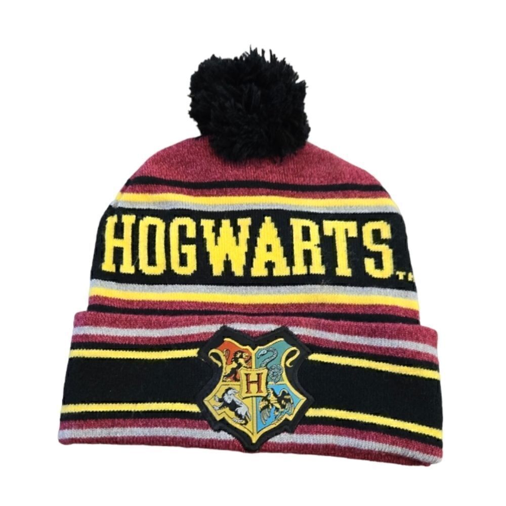 NWT HARRY POTTER HOGWARTS BEANIE OSFM